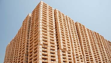 South Africa Pallet Company Expands With WM3500